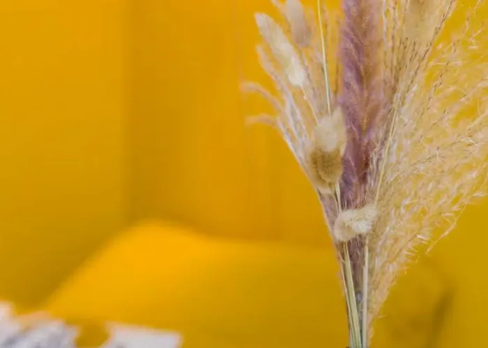 Βίλα Ac - Reserved Parking - La Farigoulette Les Angles (Gard)